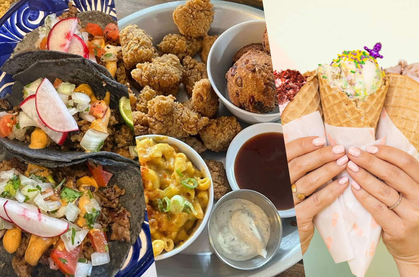 A spread of vegan dishes from Portland restaurants