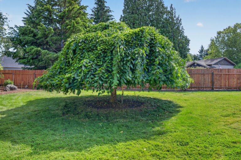 11305 NE 35th Ave, Vancouver, WA 98686, photo 45