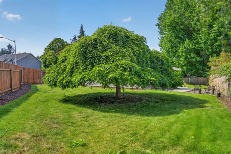11305 NE 35th Ave, Vancouver, WA 98686, photo 46